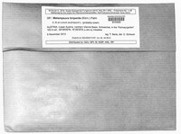 Melampsora lini image